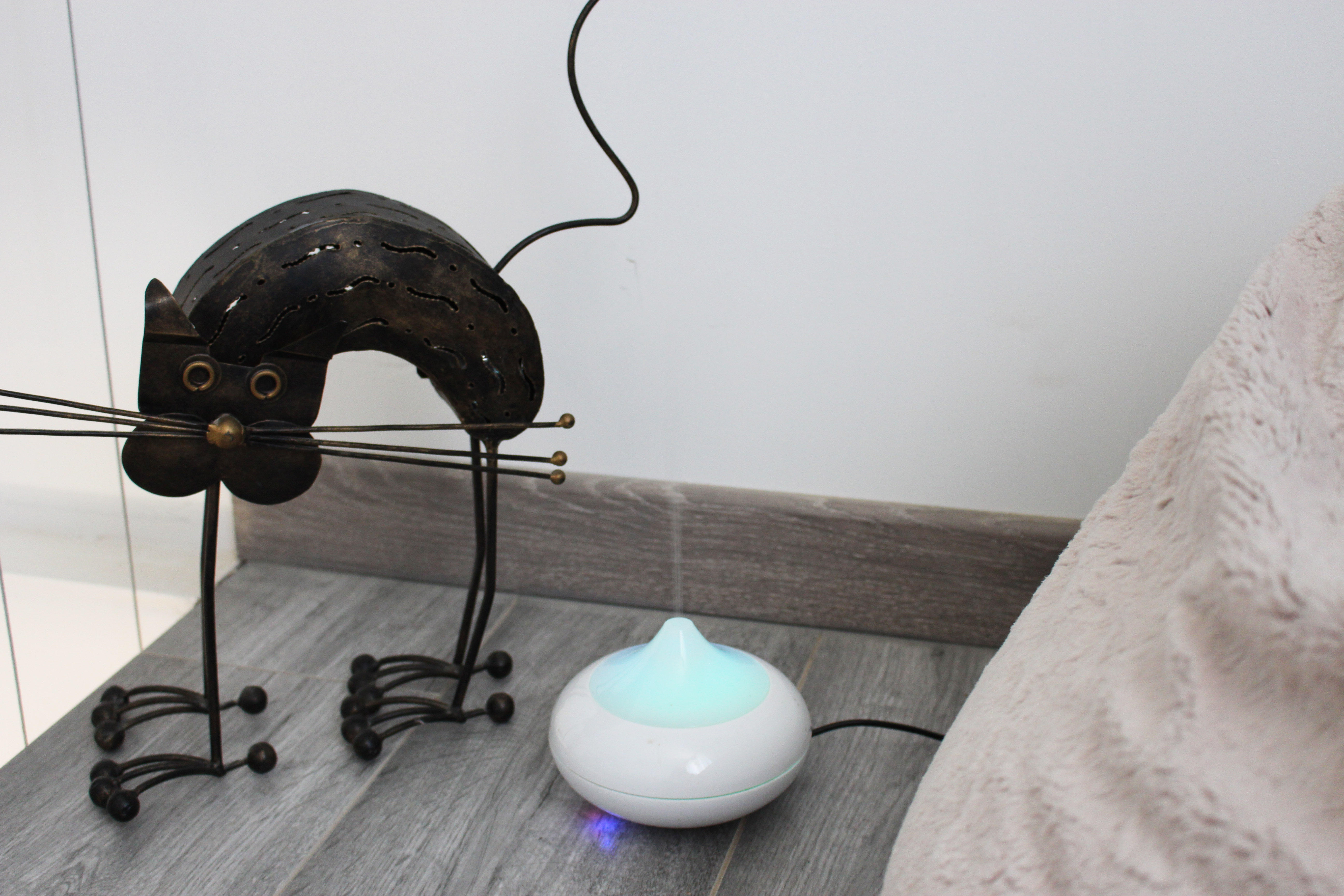 parfumer son intérieur vegan