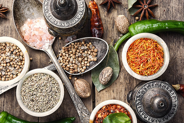 indispensables vegan placard végane